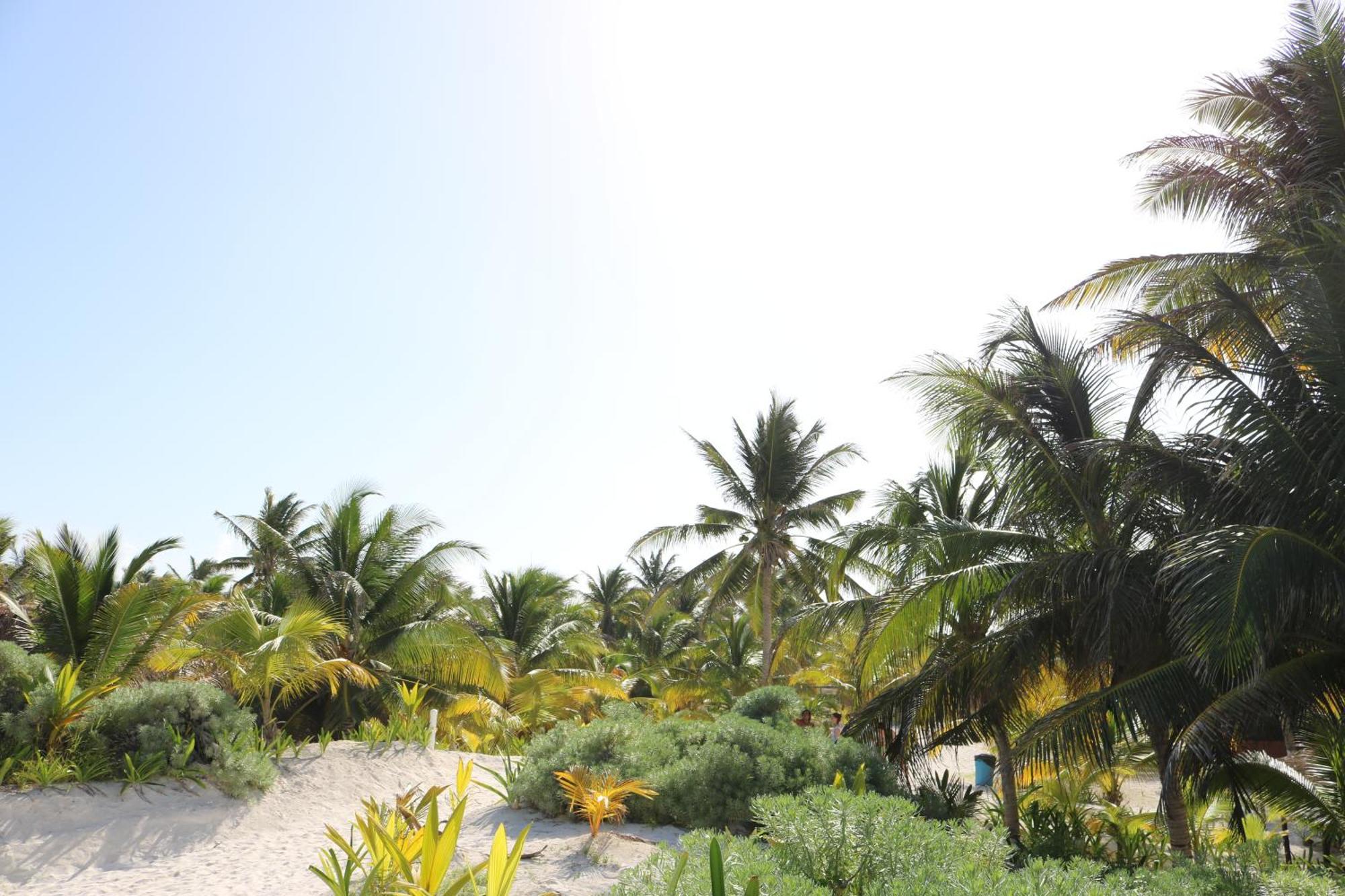 Hotel & Cabanas Zazil Kin Tulum Exteriör bild